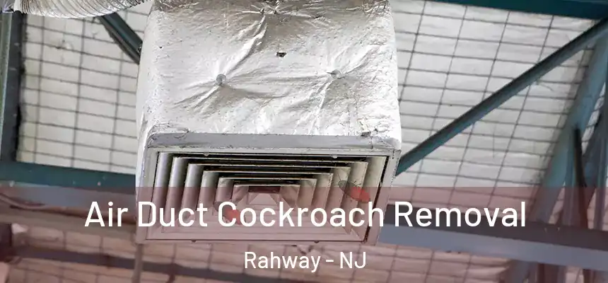  Air Duct Cockroach Removal Rahway - NJ