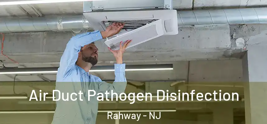 Air Duct Pathogen Disinfection Rahway - NJ