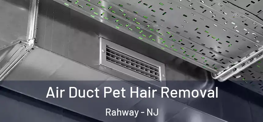  Air Duct Pet Hair Removal Rahway - NJ