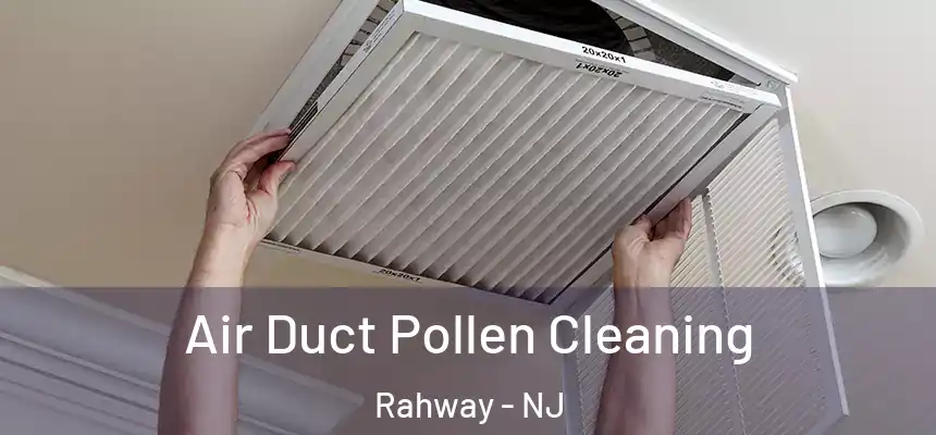  Air Duct Pollen Cleaning Rahway - NJ