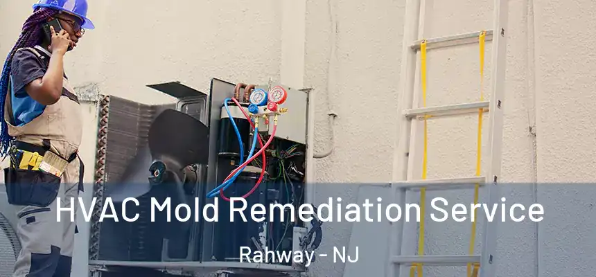 HVAC Mold Remediation Service Rahway - NJ