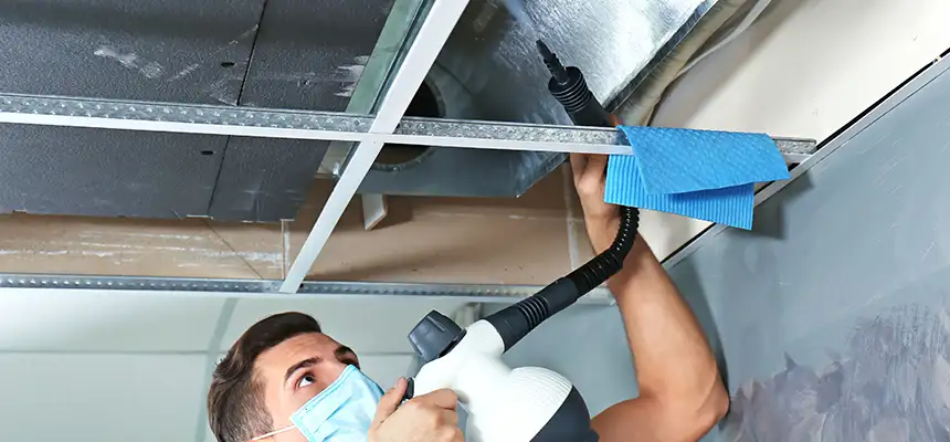Our Air Duct Rodent Removal Services in Rahway, NJ