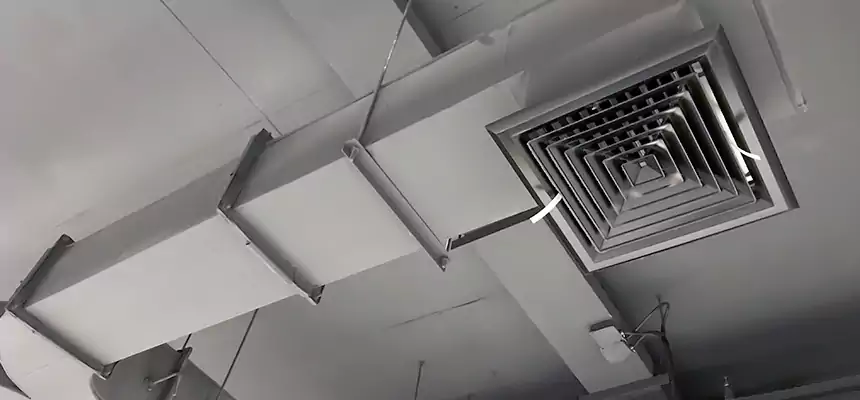 Restorative Allergy Relief Vent Cleaning – Coil, Blower & Housing Detail in Rahway