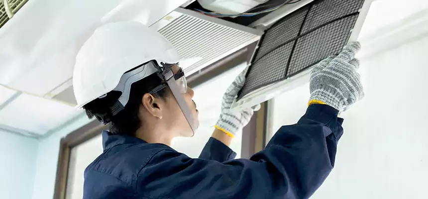 Our Mold & Mildew Removal from Air Ducts Services in Rahway, NJ