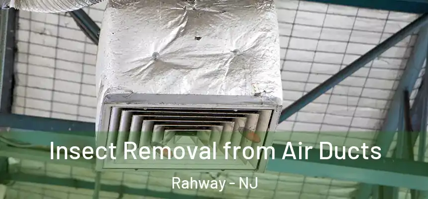  Insect Removal from Air Ducts Rahway - NJ