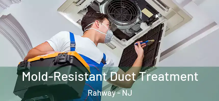  Mold-Resistant Duct Treatment Rahway - NJ