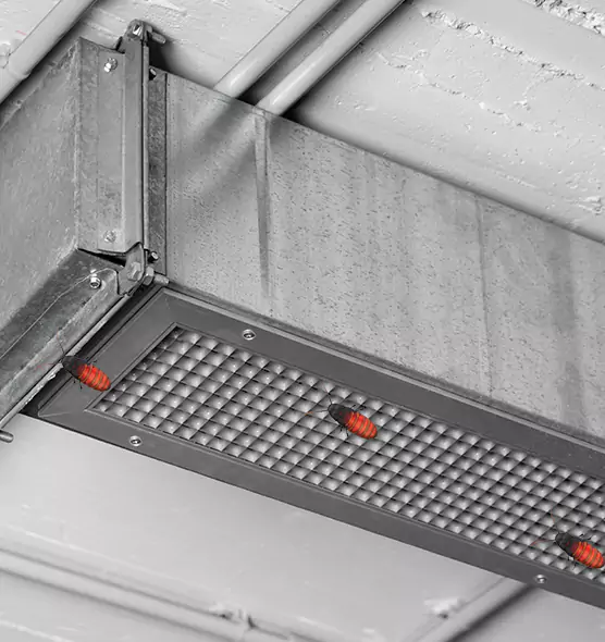 Affordable Insect Removal from Air Ducts in Rahway, NJ