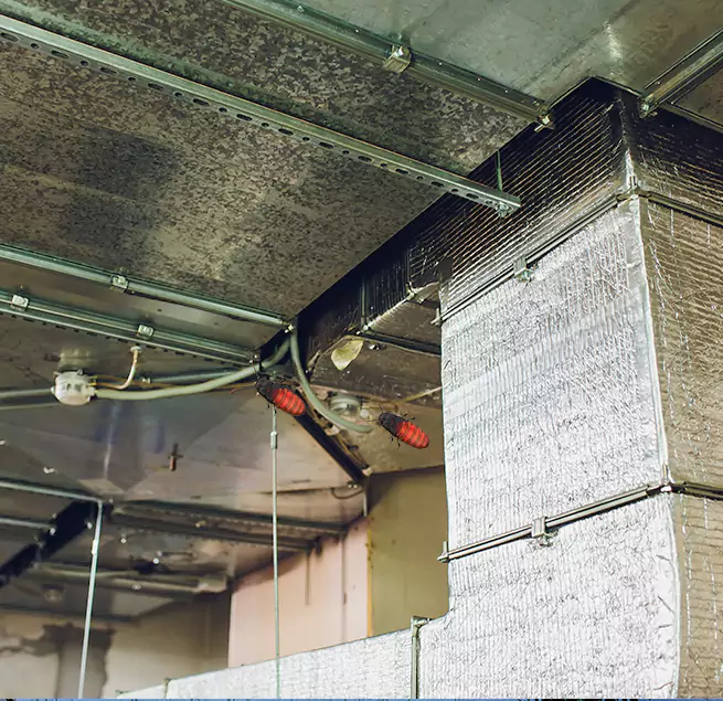 Why Homeowners & Businesses Trust Us in Rahway, NJ?