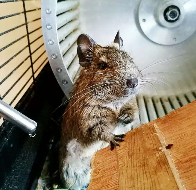 Why Homeowners & Businesses Trust Us Rahway, NJ?