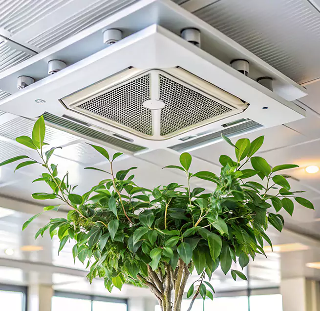 Why Homeowners & Businesses Trust Us in Rahway, NJ?